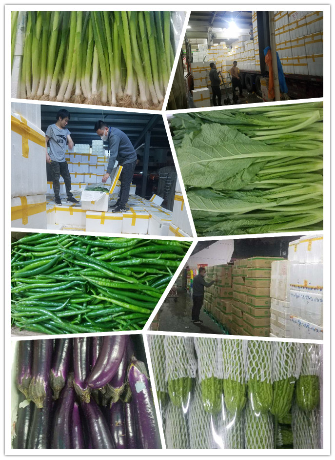 首页| 402cc永利集团中国区官方网站