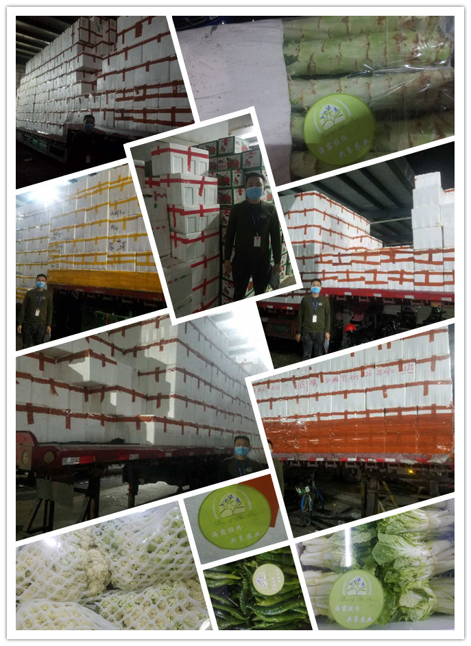 首页| 402cc永利集团中国区官方网站