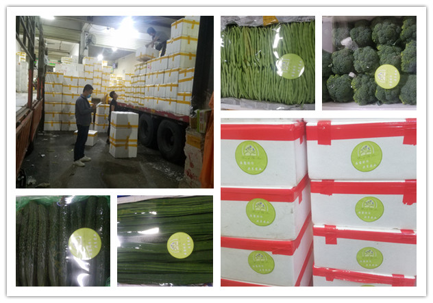 首页| 402cc永利集团中国区官方网站