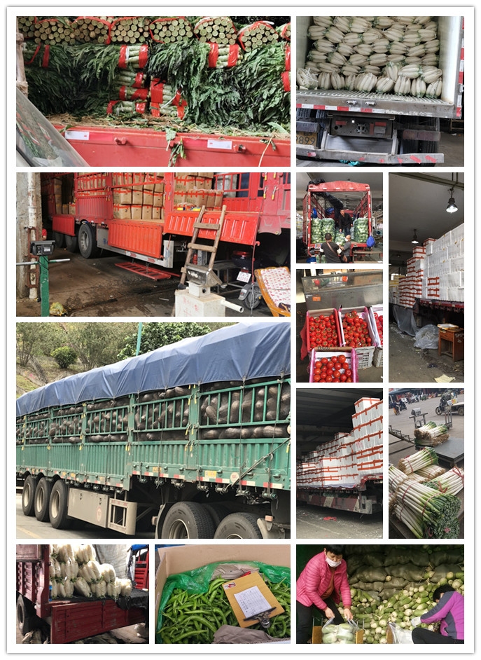 首页| 402cc永利集团中国区官方网站