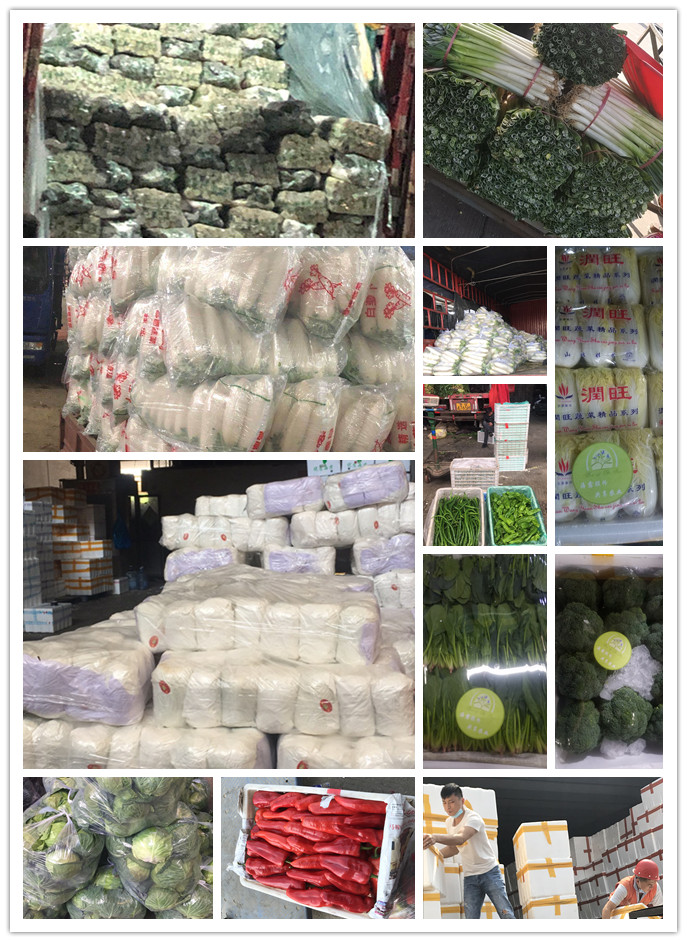 首页| 402cc永利集团中国区官方网站