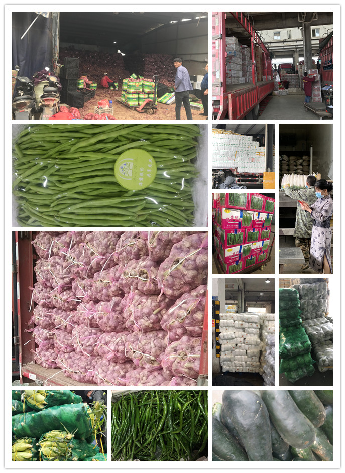 首页| 402cc永利集团中国区官方网站