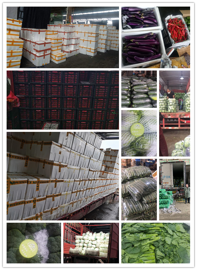 首页| 402cc永利集团中国区官方网站