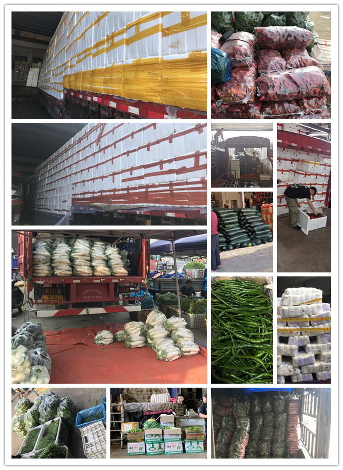 首页| 402cc永利集团中国区官方网站