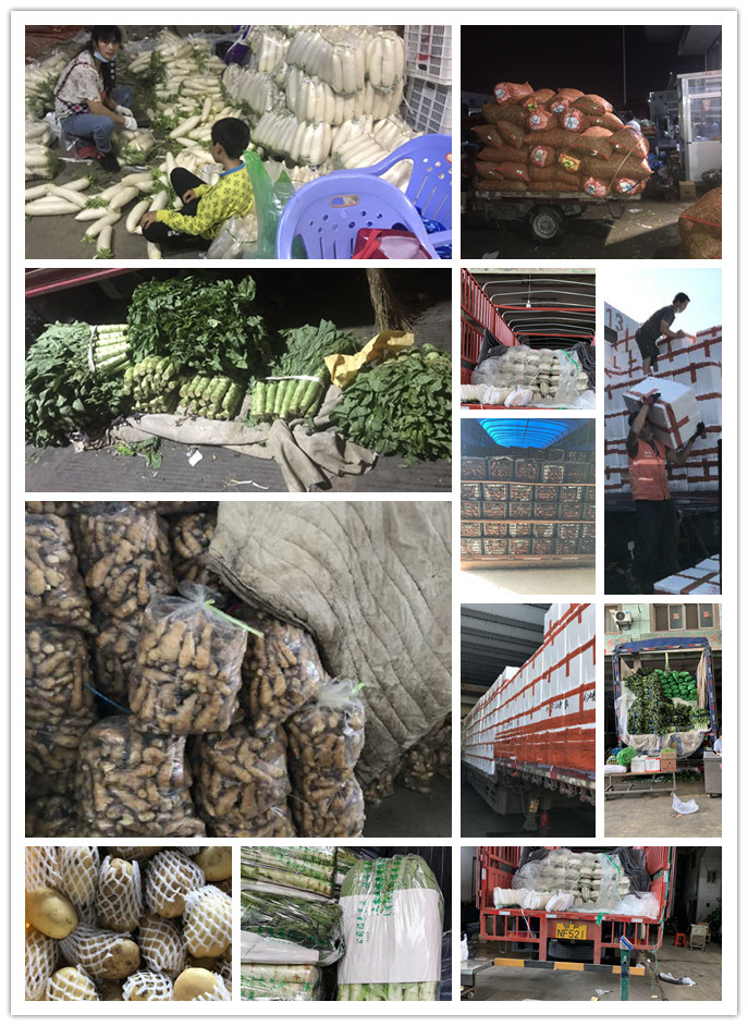 首页| 402cc永利集团中国区官方网站