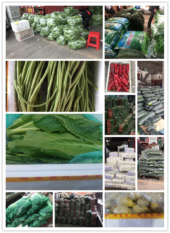 首页| 402cc永利集团中国区官方网站