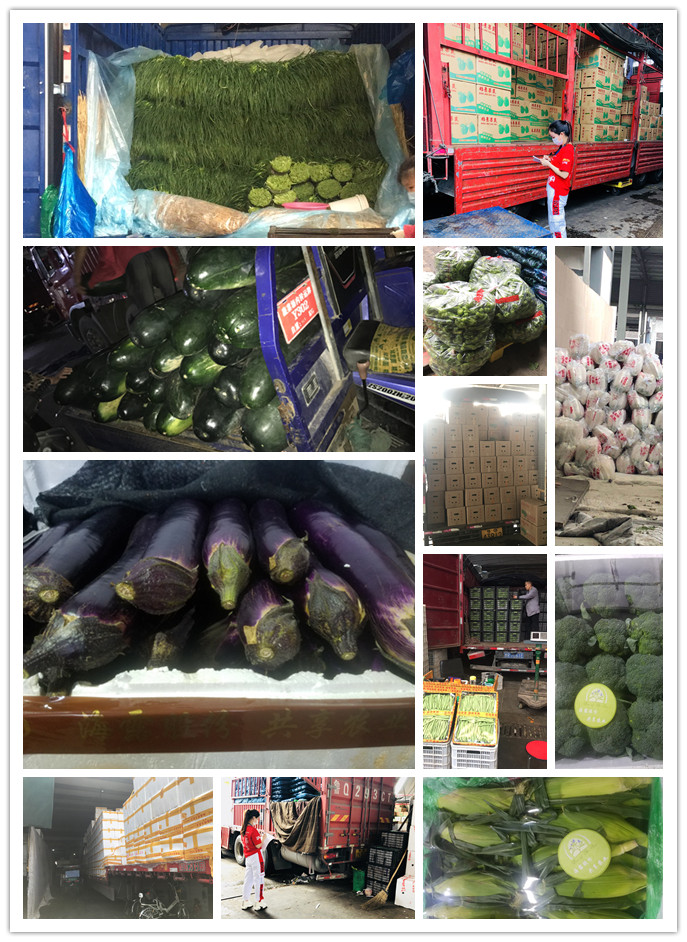 首页| 402cc永利集团中国区官方网站