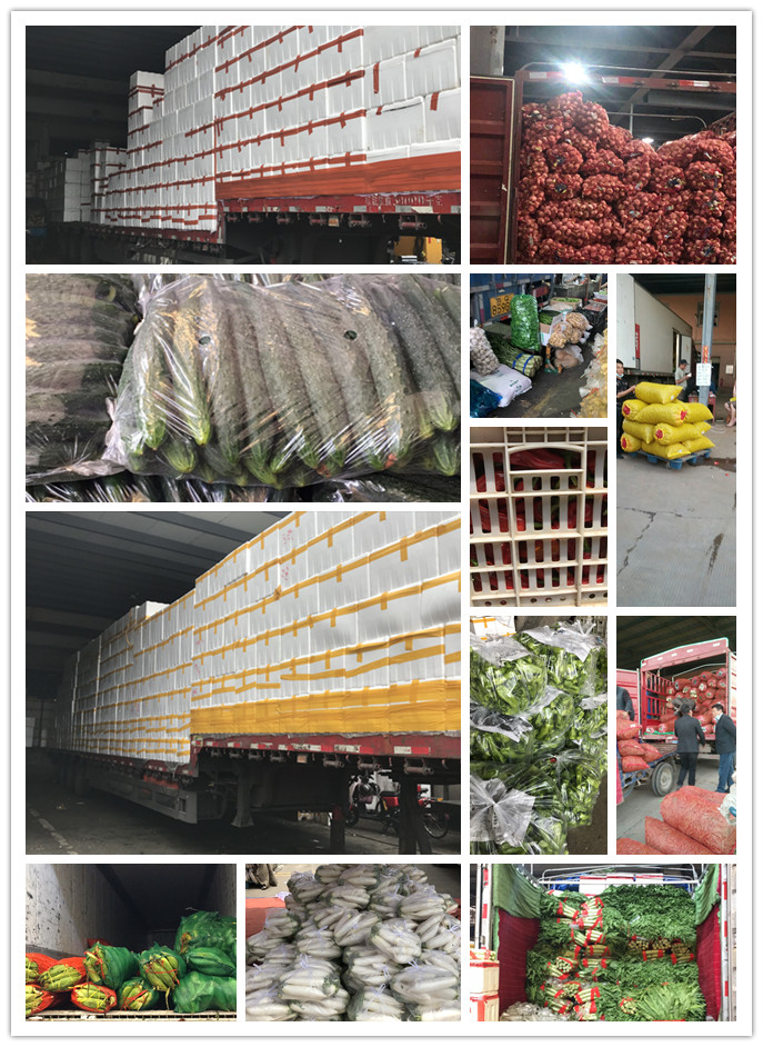 首页| 402cc永利集团中国区官方网站