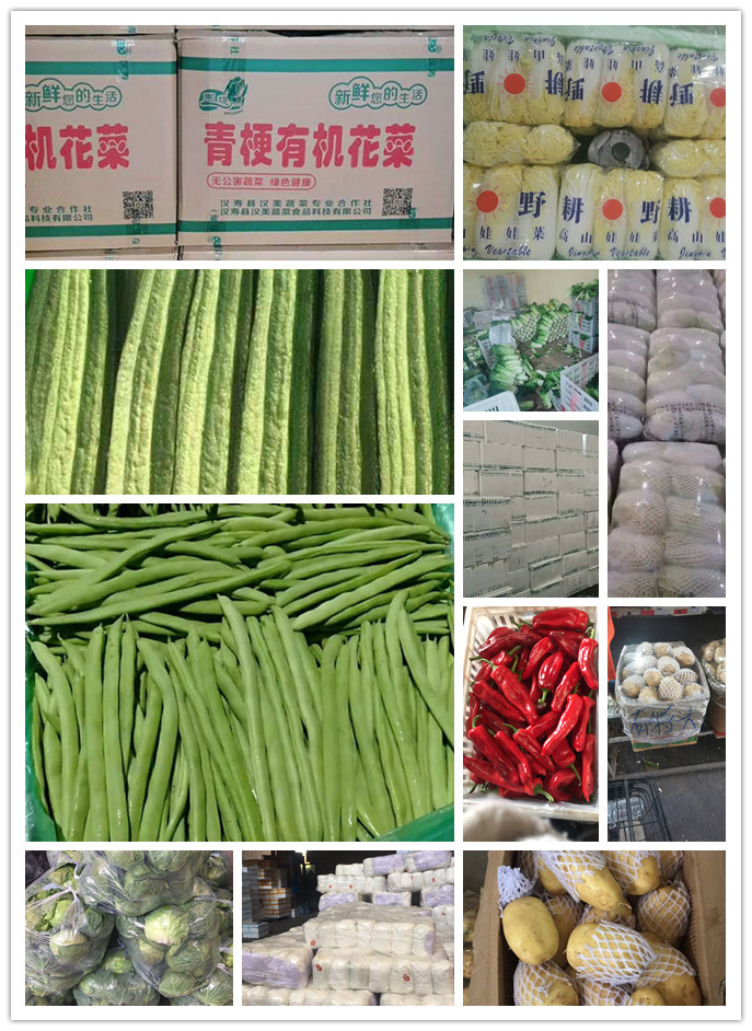 首页| 402cc永利集团中国区官方网站