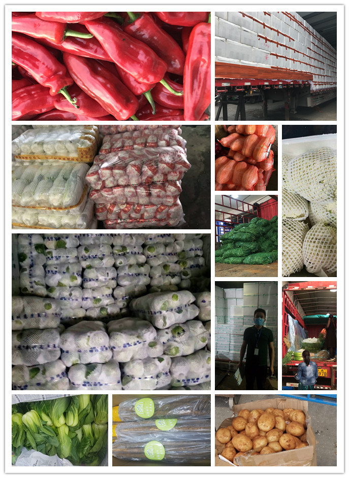 首页| 402cc永利集团中国区官方网站