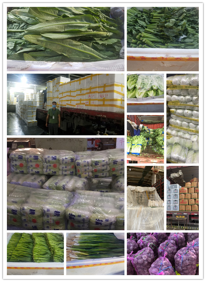 首页| 402cc永利集团中国区官方网站