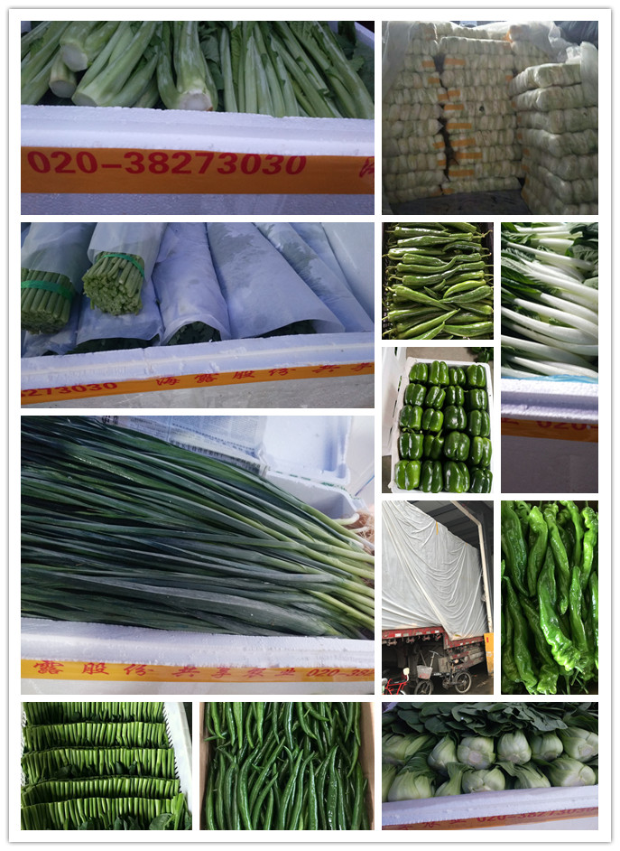 首页| 402cc永利集团中国区官方网站