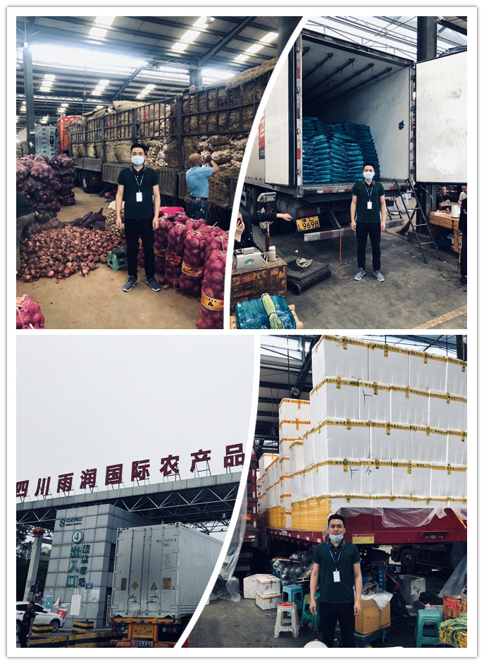 首页| 402cc永利集团中国区官方网站