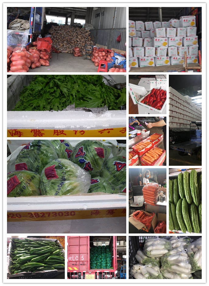 首页| 402cc永利集团中国区官方网站