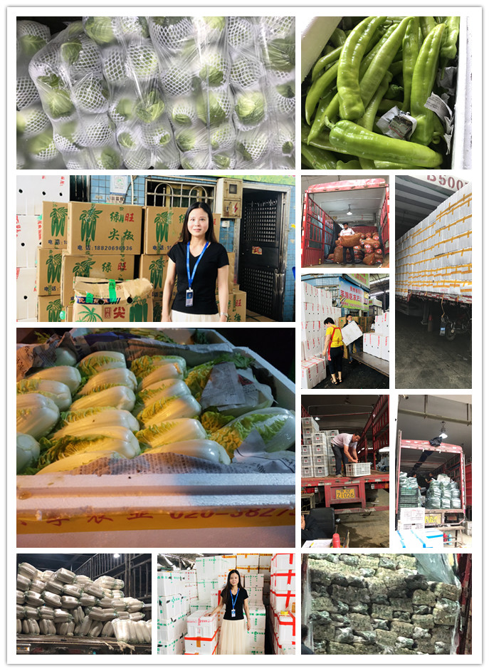 首页| 402cc永利集团中国区官方网站