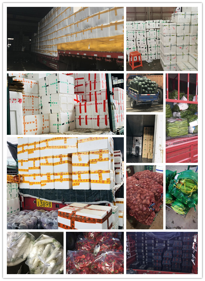 首页| 402cc永利集团中国区官方网站