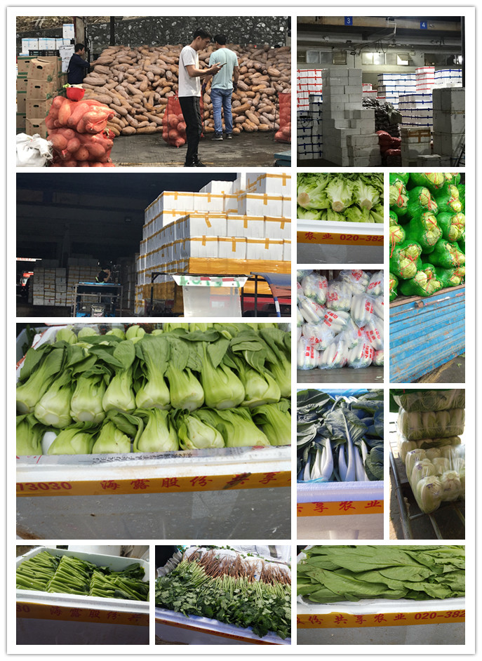 首页| 402cc永利集团中国区官方网站