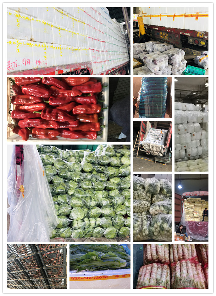 首页| 402cc永利集团中国区官方网站