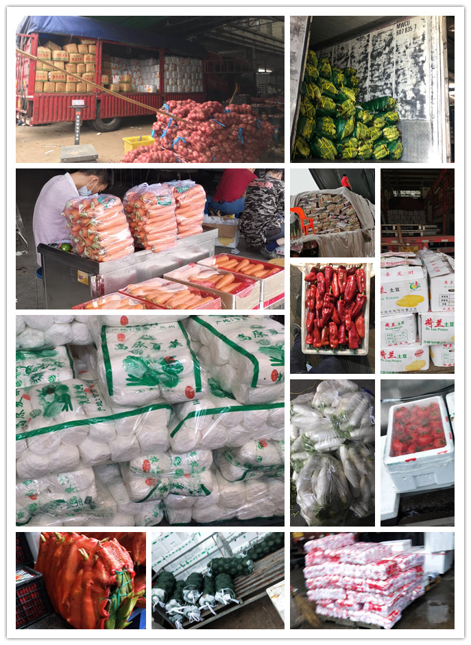 首页| 402cc永利集团中国区官方网站