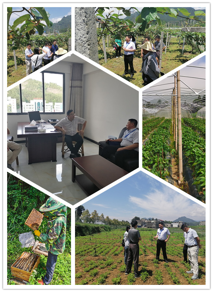 首页| 402cc永利集团中国区官方网站