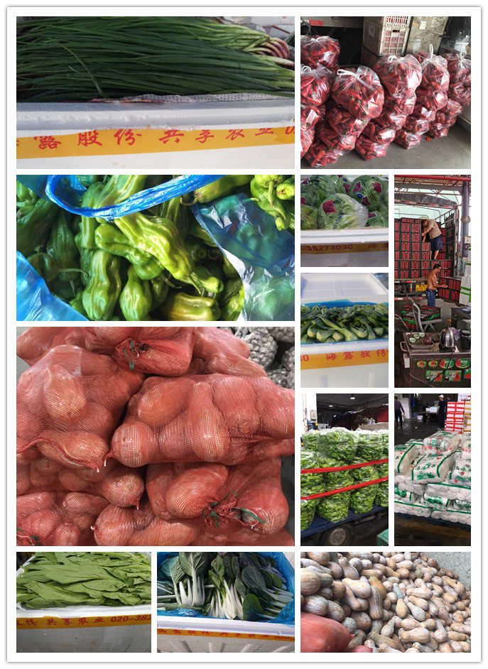 首页| 402cc永利集团中国区官方网站