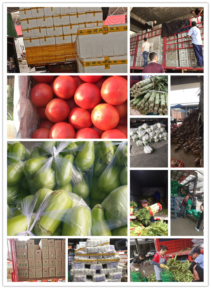 首页| 402cc永利集团中国区官方网站