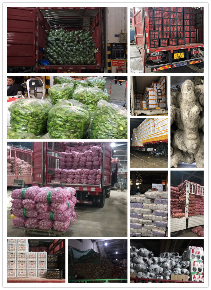 首页| 402cc永利集团中国区官方网站