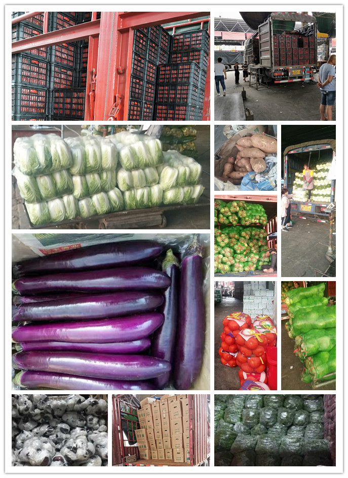 首页| 402cc永利集团中国区官方网站