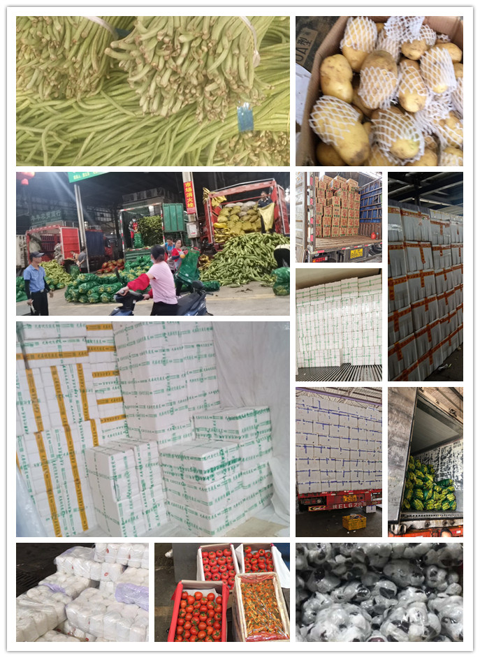 首页| 402cc永利集团中国区官方网站