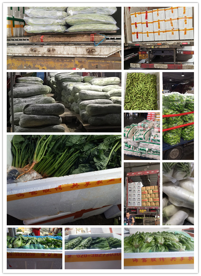 首页| 402cc永利集团中国区官方网站