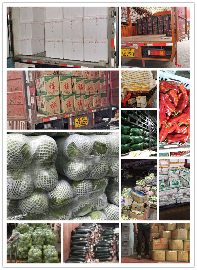 首页| 402cc永利集团中国区官方网站