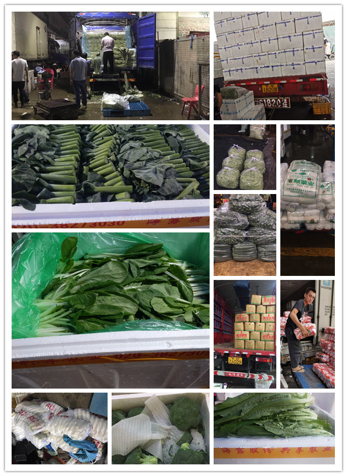 首页| 402cc永利集团中国区官方网站