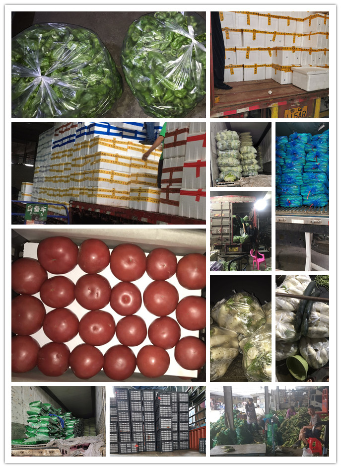 首页| 402cc永利集团中国区官方网站