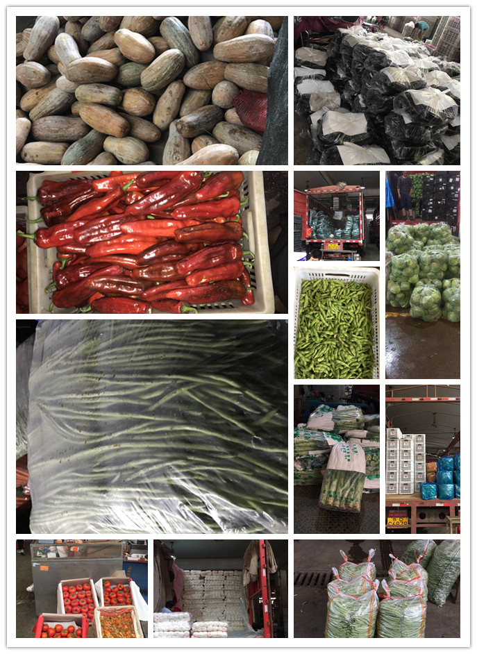 首页| 402cc永利集团中国区官方网站