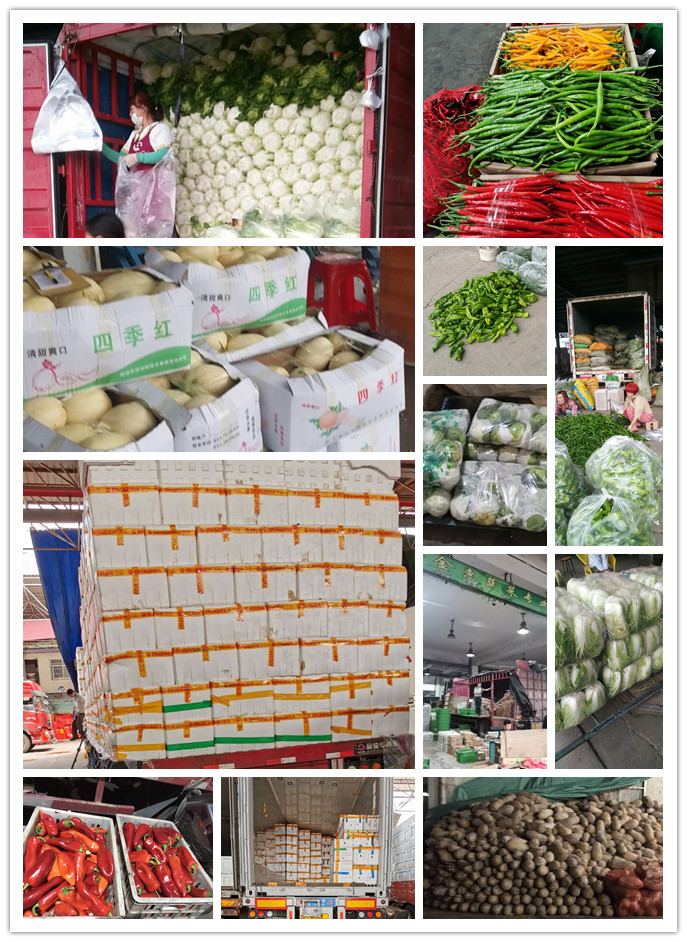 首页| 402cc永利集团中国区官方网站