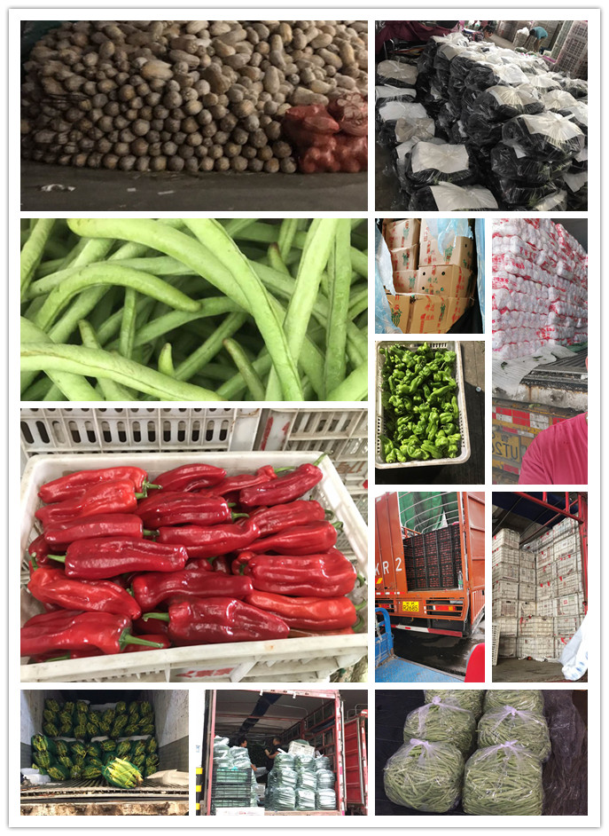 首页| 402cc永利集团中国区官方网站