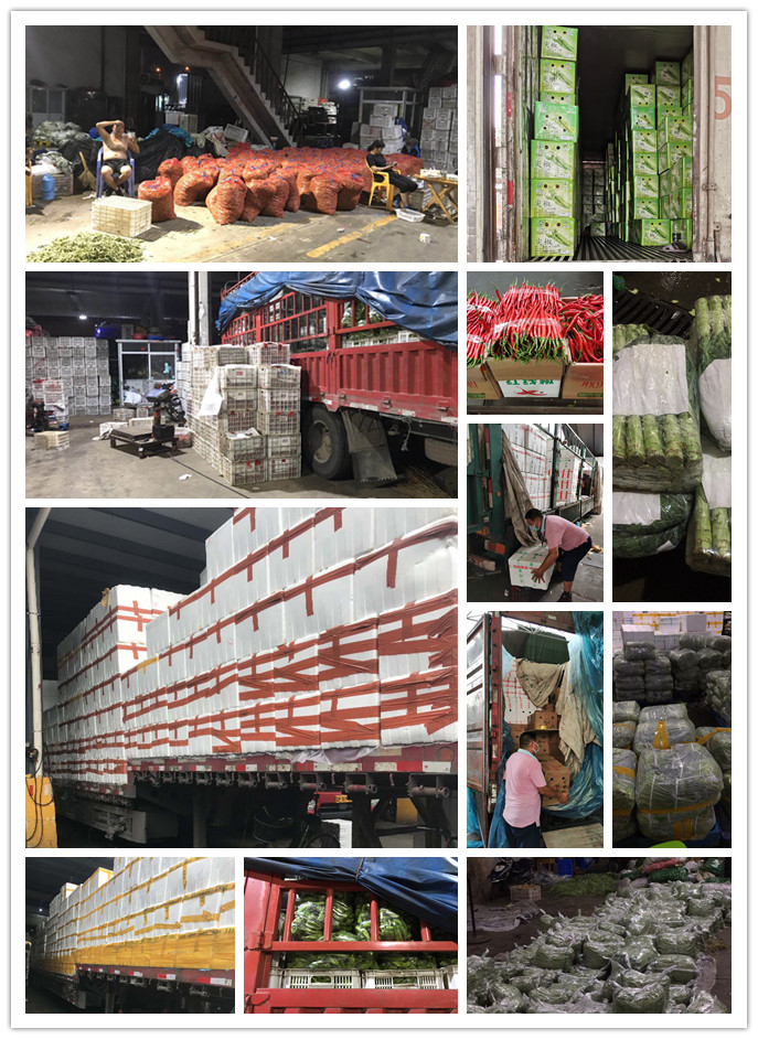 首页| 402cc永利集团中国区官方网站