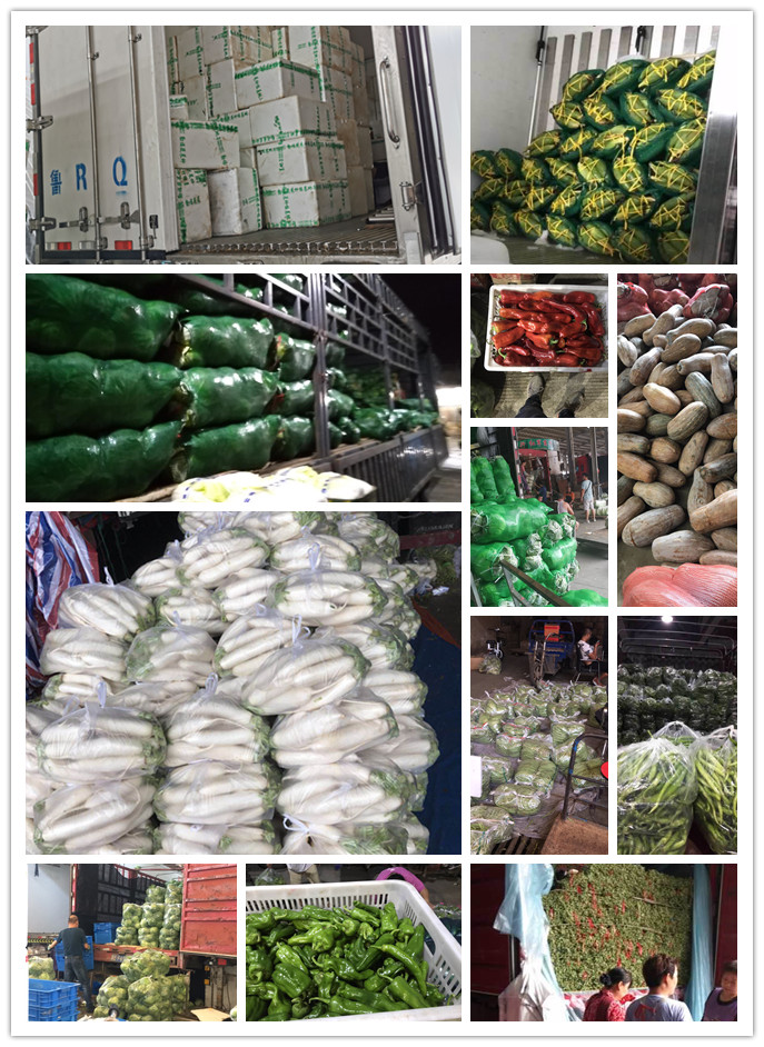 首页| 402cc永利集团中国区官方网站