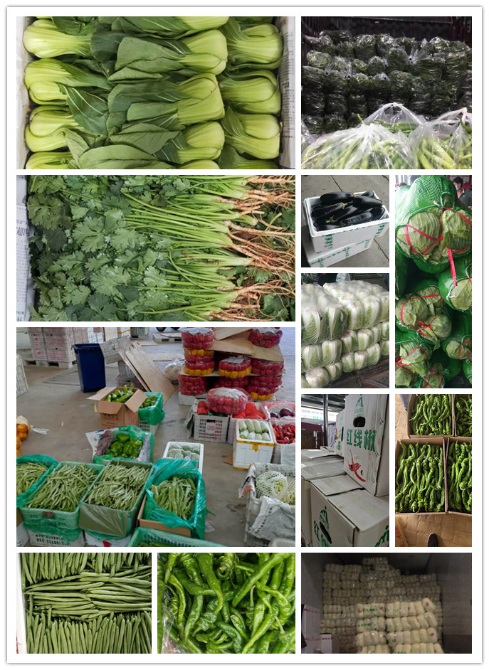 首页| 402cc永利集团中国区官方网站