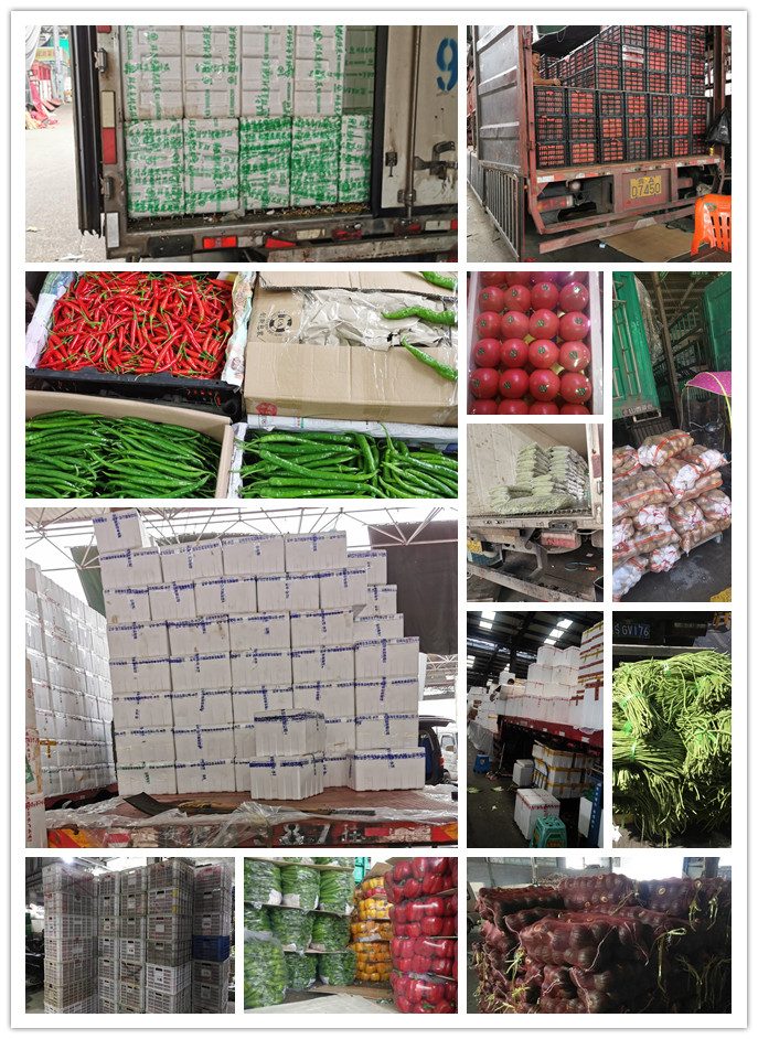 首页| 402cc永利集团中国区官方网站