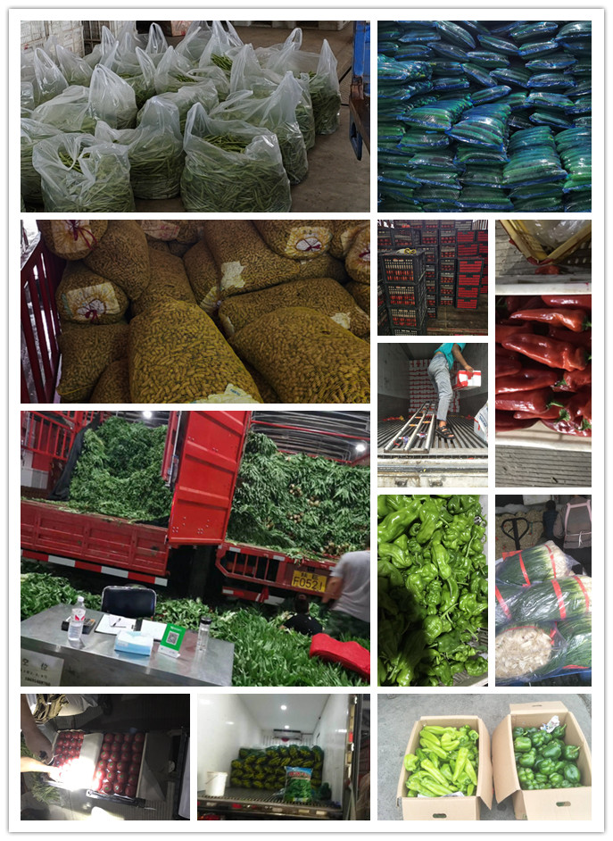 首页| 402cc永利集团中国区官方网站