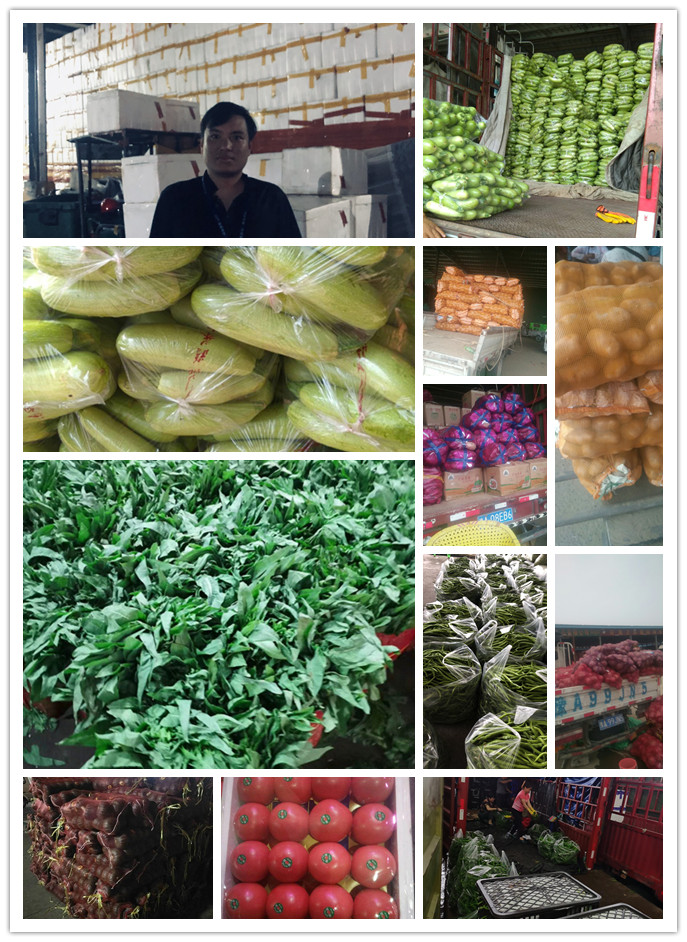 首页| 402cc永利集团中国区官方网站