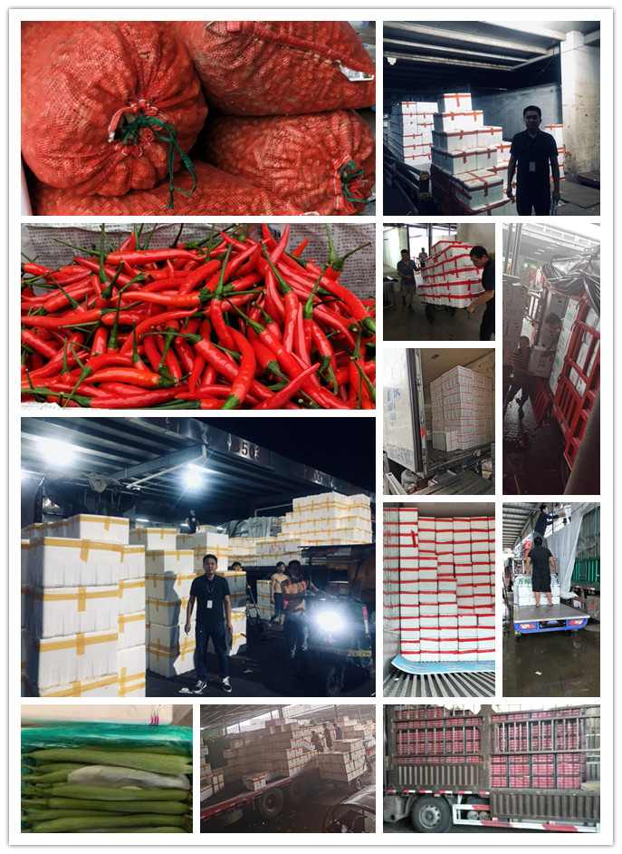 首页| 402cc永利集团中国区官方网站