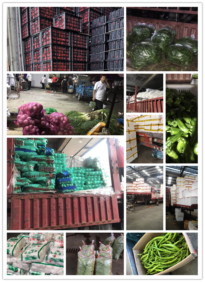 首页| 402cc永利集团中国区官方网站