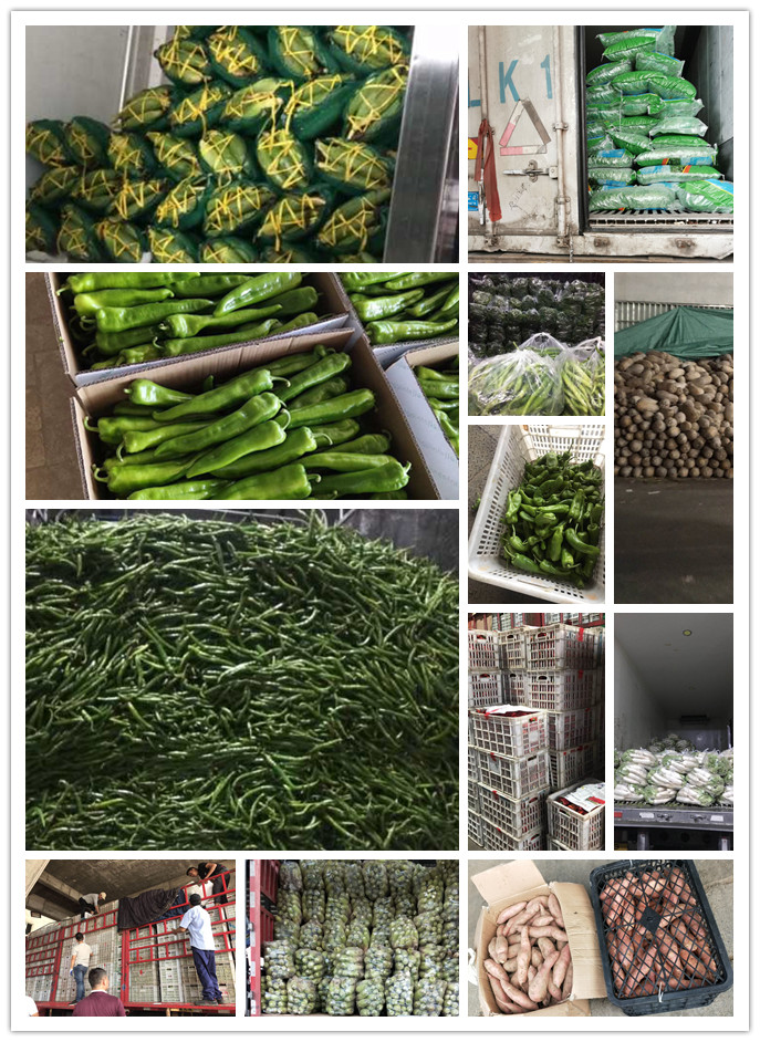 首页| 402cc永利集团中国区官方网站