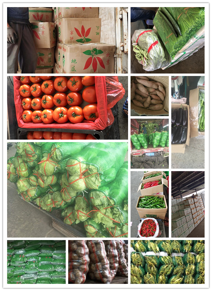 首页| 402cc永利集团中国区官方网站