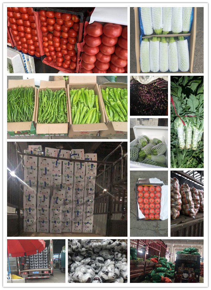 首页| 402cc永利集团中国区官方网站