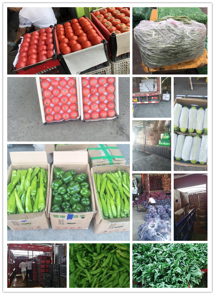 首页| 402cc永利集团中国区官方网站