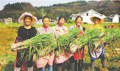 首页| 402cc永利集团中国区官方网站