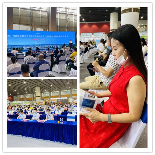 首页| 402cc永利集团中国区官方网站